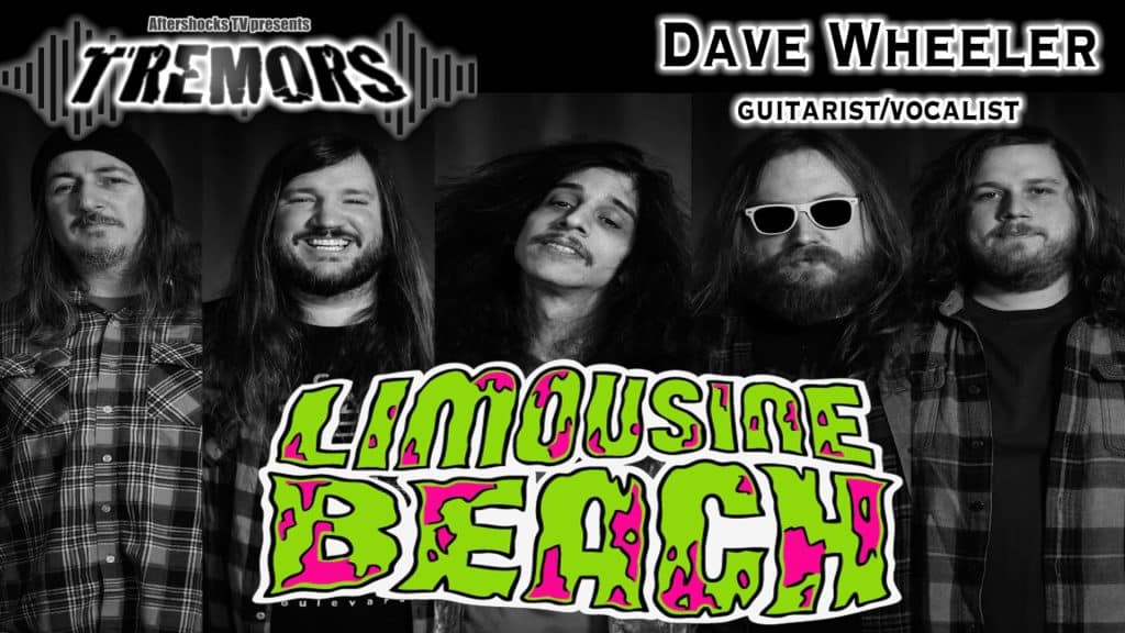 AS Tremors | LIMOUSINE BEACH guitarist/vocalist Dave Wheeler