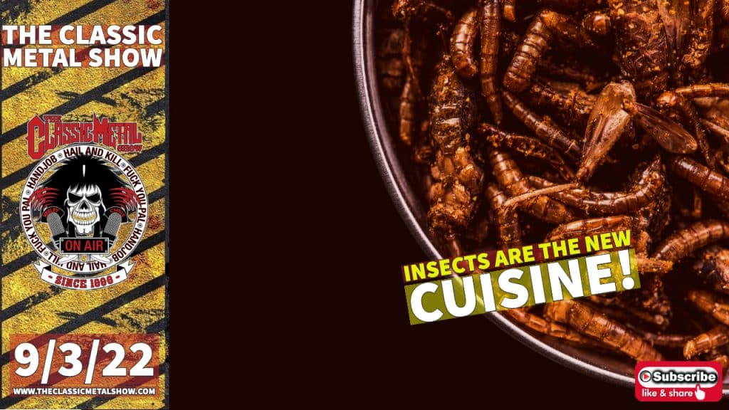 CMS | Insects Are The New Cuisine